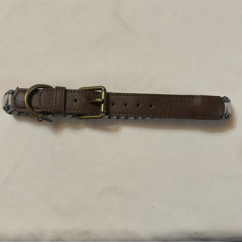 Brown Dog Collar